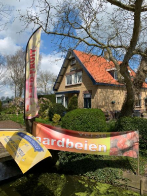 B&B Dol - Fijn